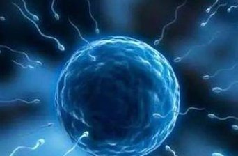 河南地区有哪些私立的机构可以做试管技术？2026平顶山试管婴儿医院排名