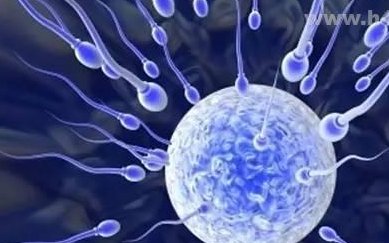 深圳三代试管成功率如何？三代试管婴儿技术有哪些优点？