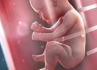 试管移植失败和胖有关系吗,科学饮食好