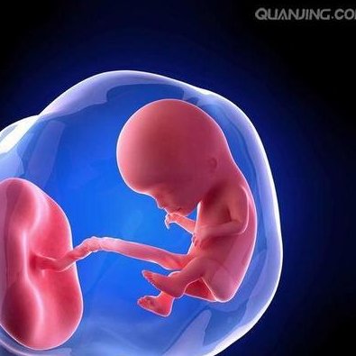 了解这些影响试管胚胎着床的关键因素