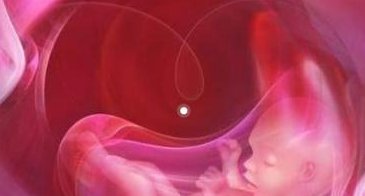 2026南宁试管婴儿医院排名，附成功率及费用介绍