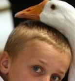 中医治多囊卵巢综合症好用吗？多囊卵巢综合症有什么样的诊疗方法？