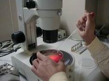 二代试管对男性要求高吗？精子成活率20%能做吗？