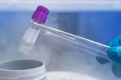 郑州试管婴儿费用纳入医保报销了吗？可以报销的部分有哪些？