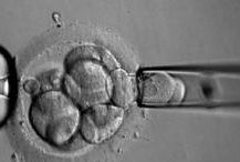 为什么孕早期hcg低的时候医生说不要怕？