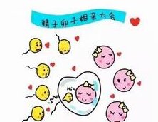 2026年节育环种类大盘点，谁较好最安全一看便知