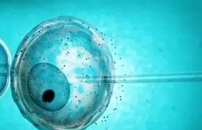 47岁做试管成功率多少,高龄女性试管成功率不到5%