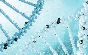 染色体易位在杭州市红十字会医院可以做三代试管吗？染色体平衡易位还能生健康的宝宝吗？