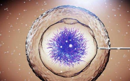 孕酮值与孕天数对照表请收好，在不在正常范围看完便知